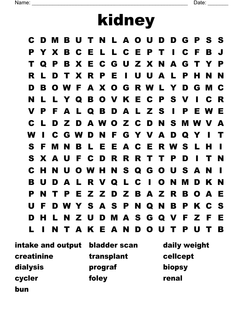 kidney Word Search