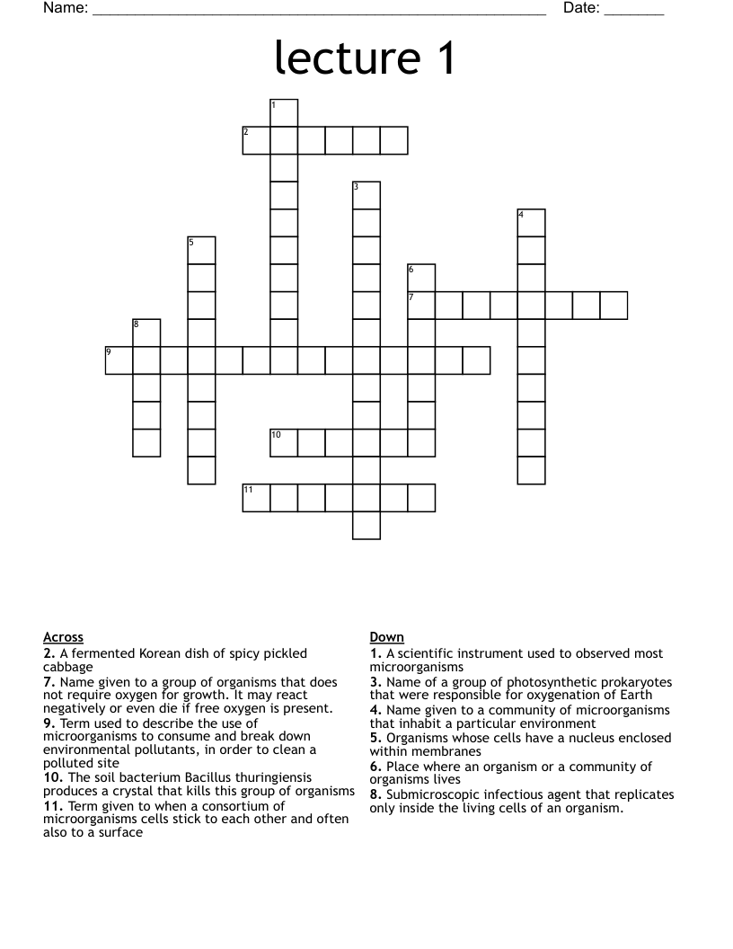 lecture 1 Crossword