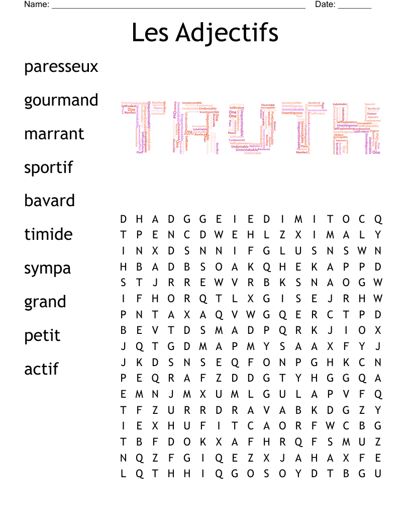 Les Adjectifs Word Search
