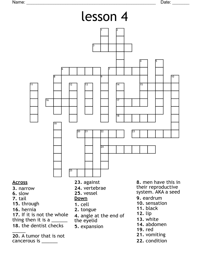 lesson 4 Crossword