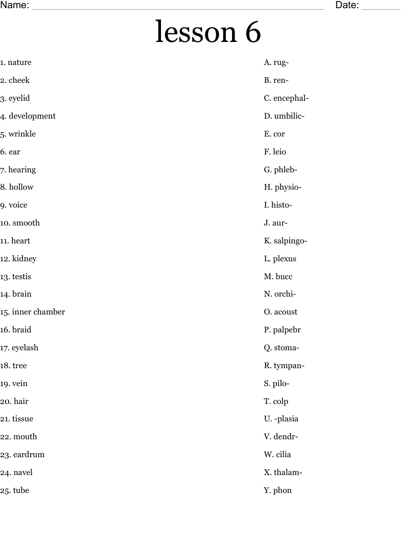 lesson 6 Worksheet