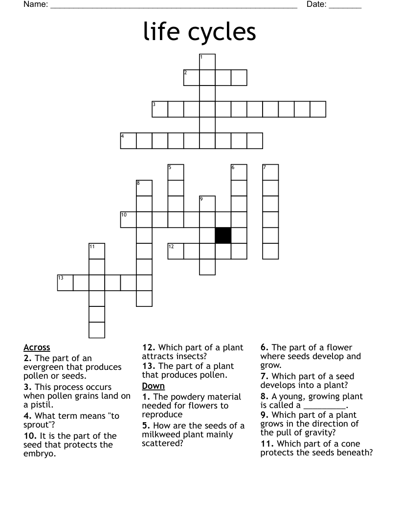 life cycles Crossword