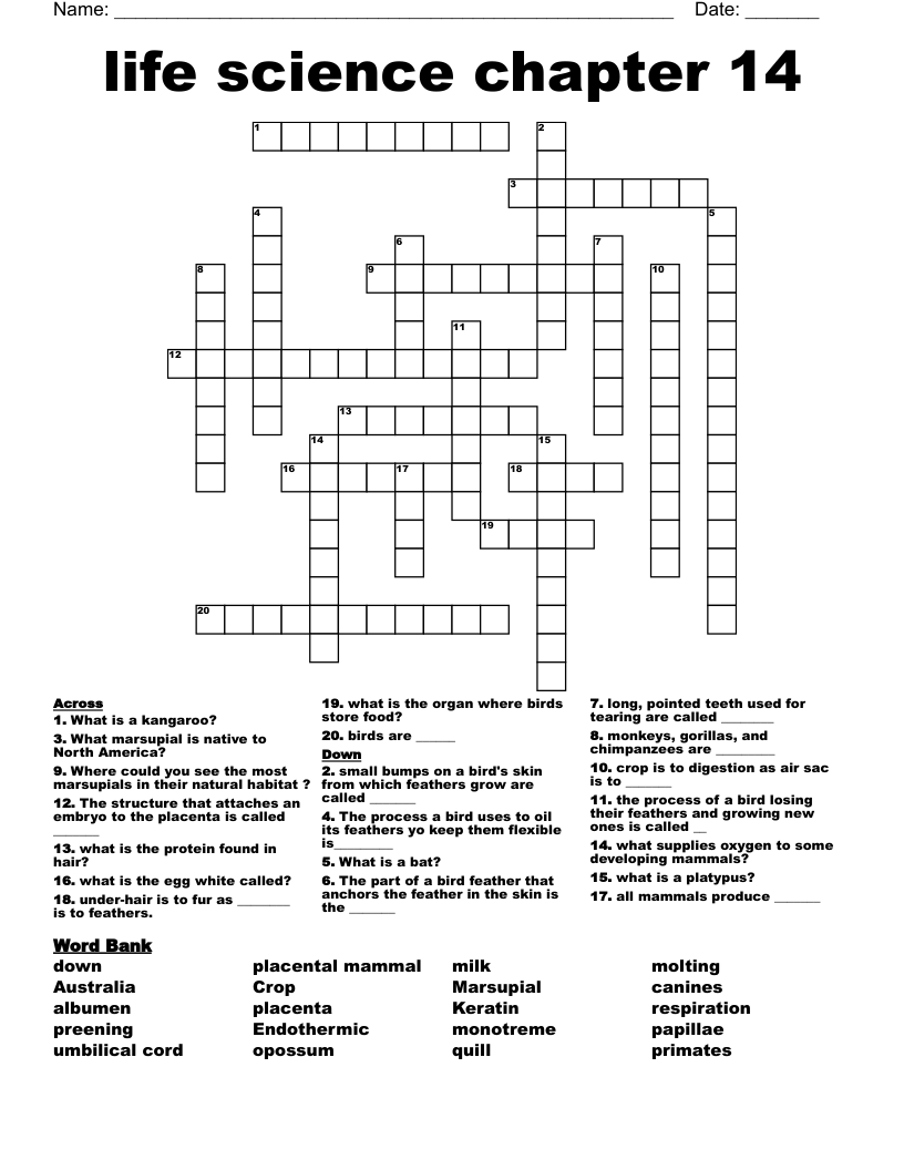 life science chapter 14  Crossword