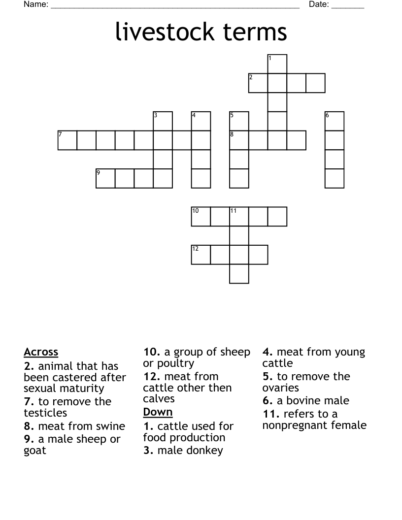livestock terms  Crossword
