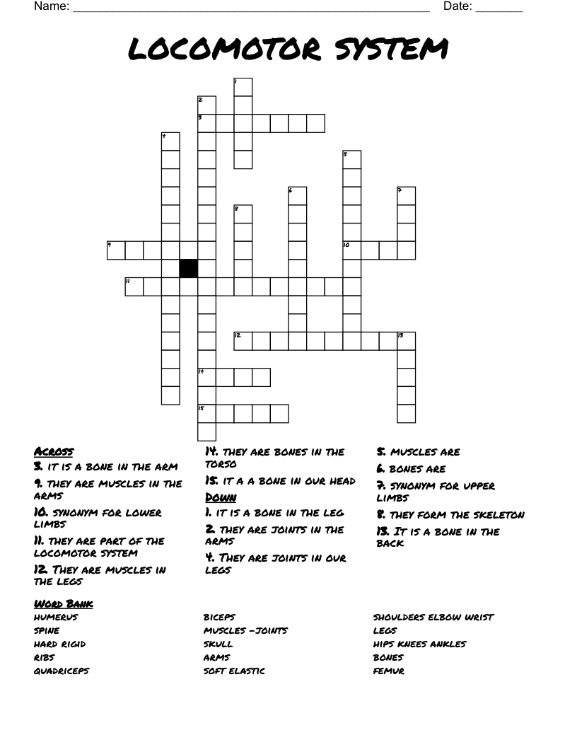 locomotor system Crossword