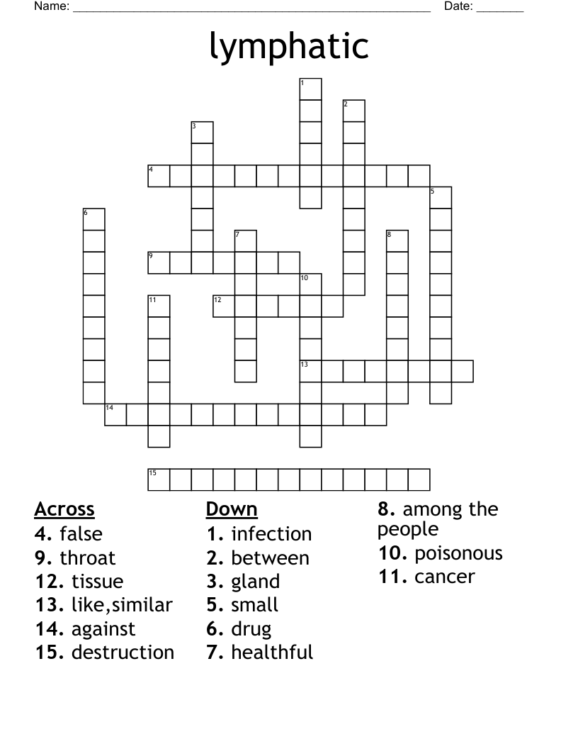 lymphatic  Crossword