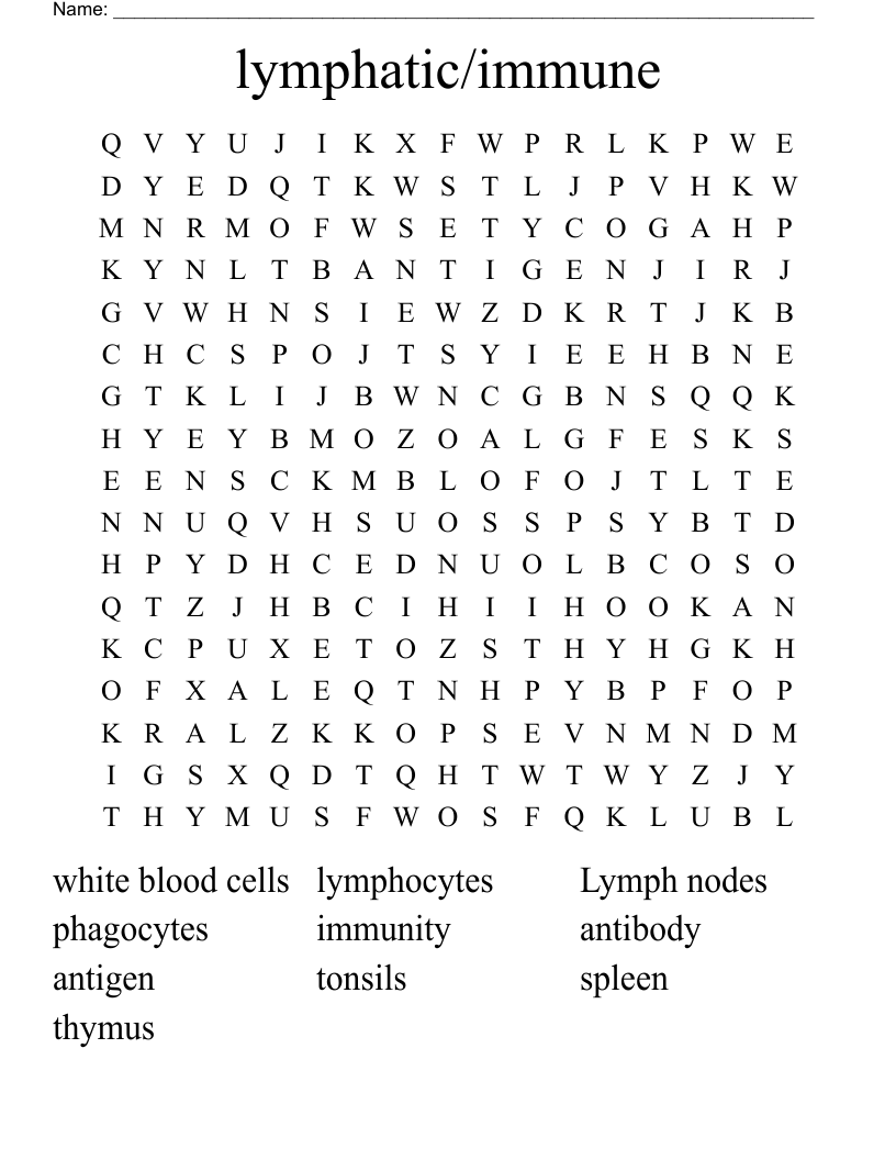 lymphatic/immune  Word Search