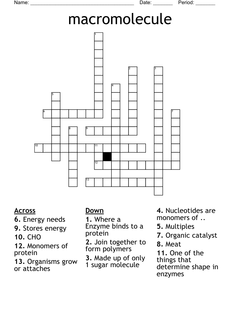 macromolecule Crossword