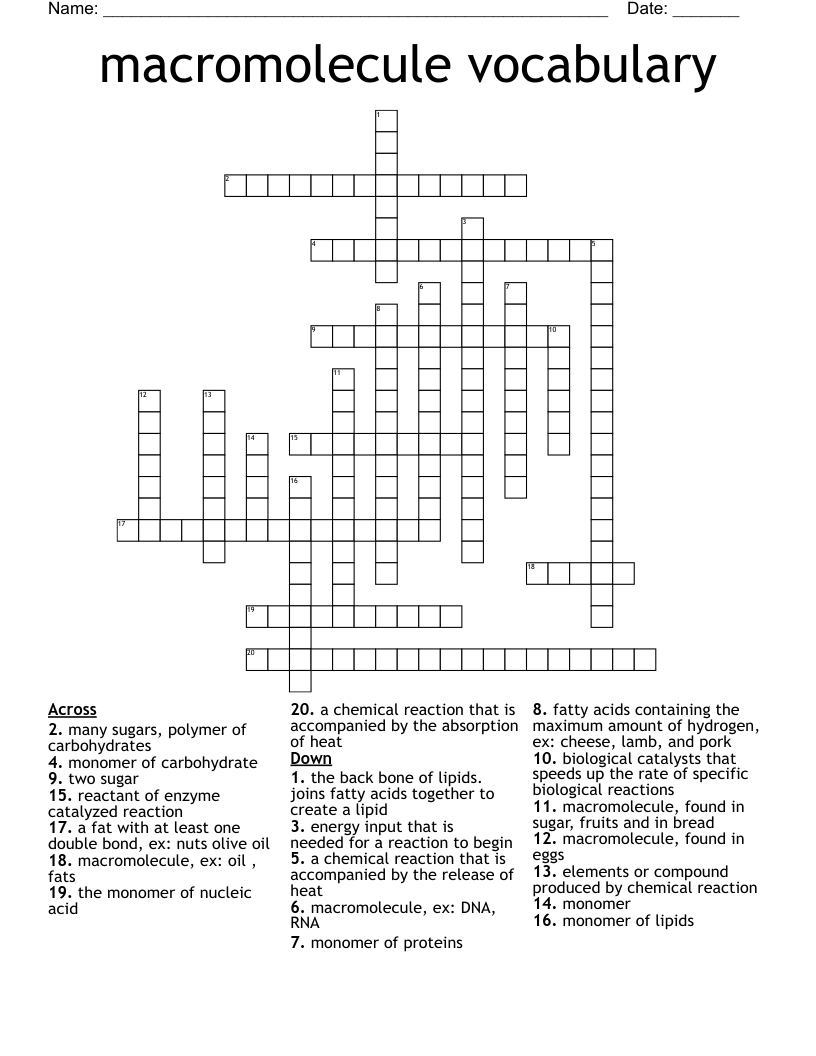 macromolecule vocabulary  Crossword