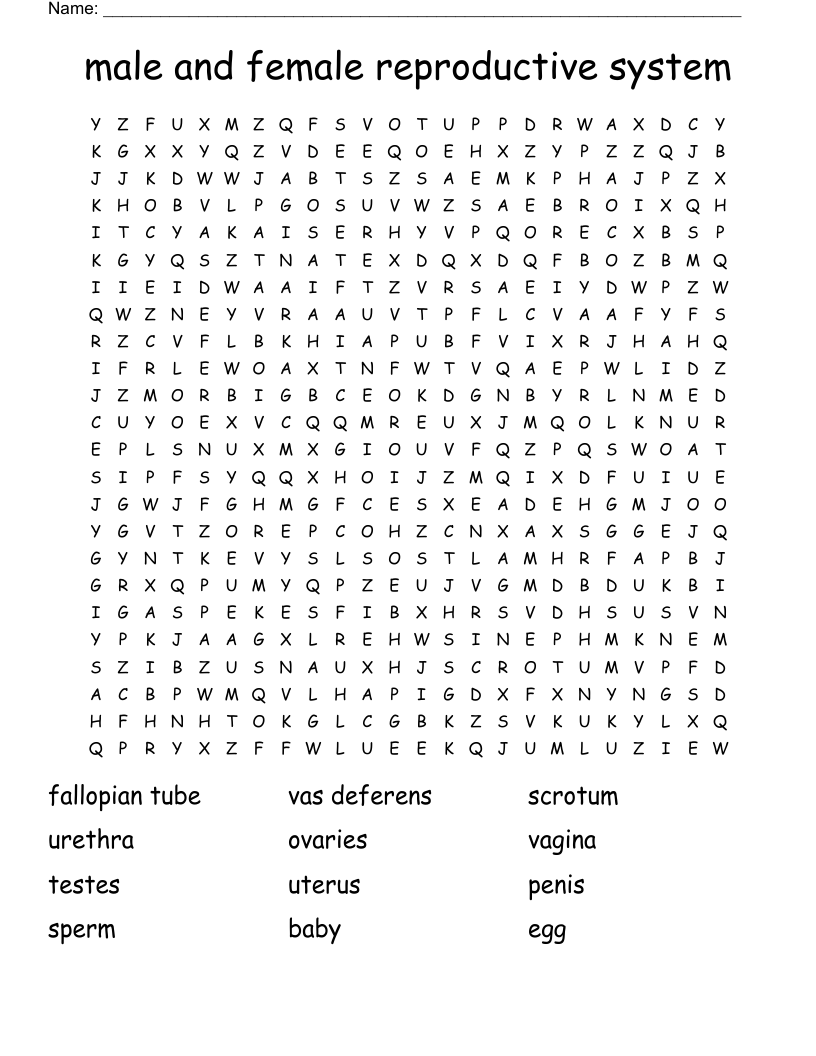 male and female reproductive system Word Search
