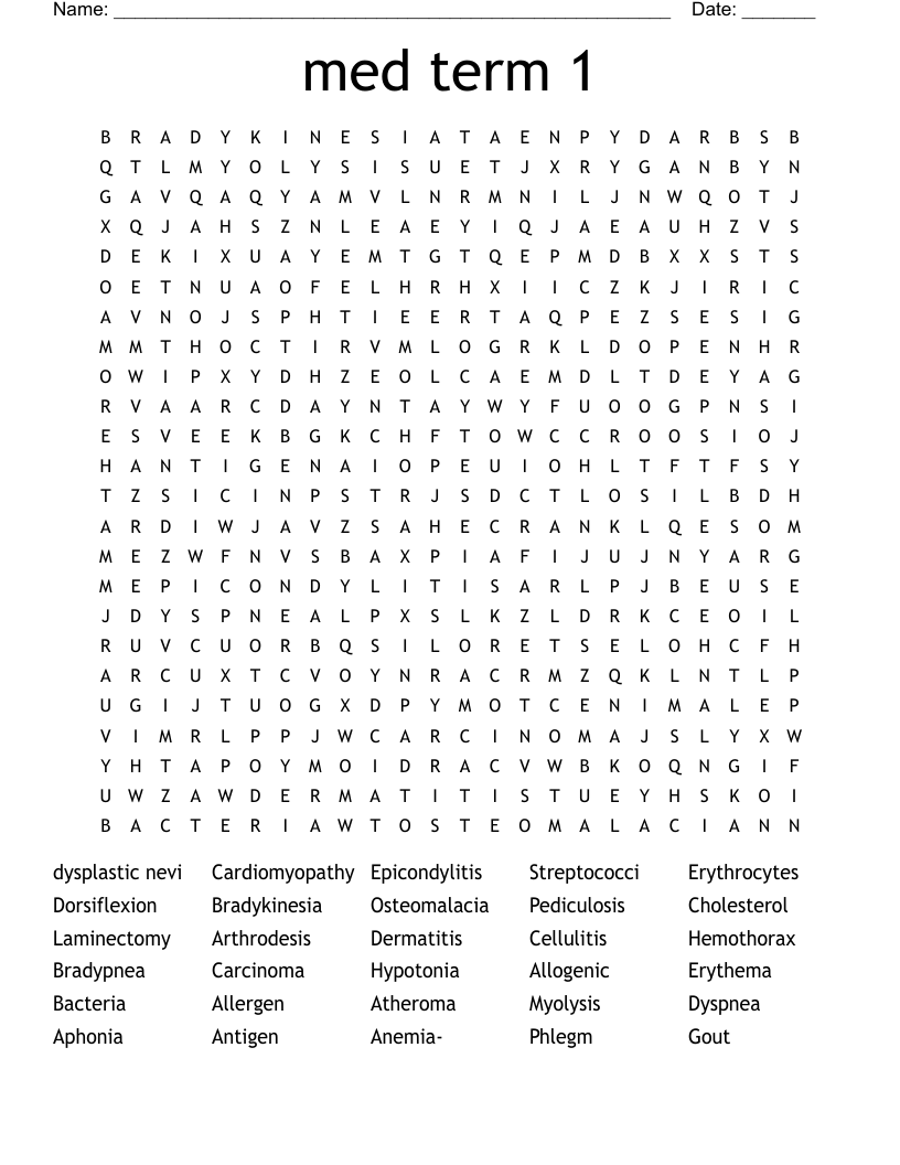 med term 1 Word Search