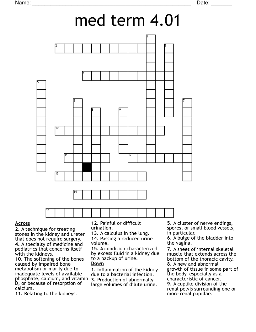 med term 4.01 Crossword