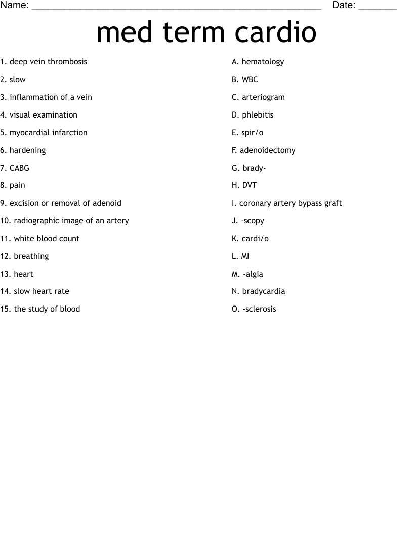 med term cardio  Worksheet