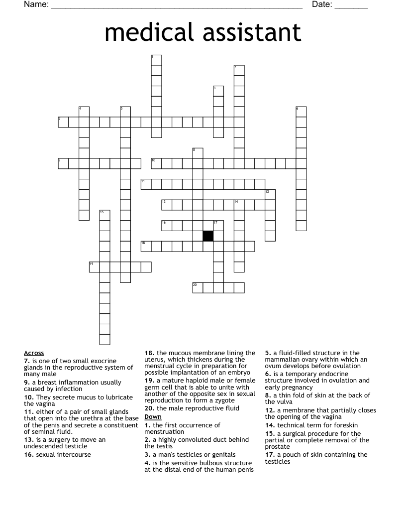 medical assistant  Crossword