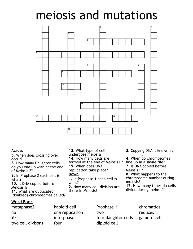 meiosis and mutations Crossword