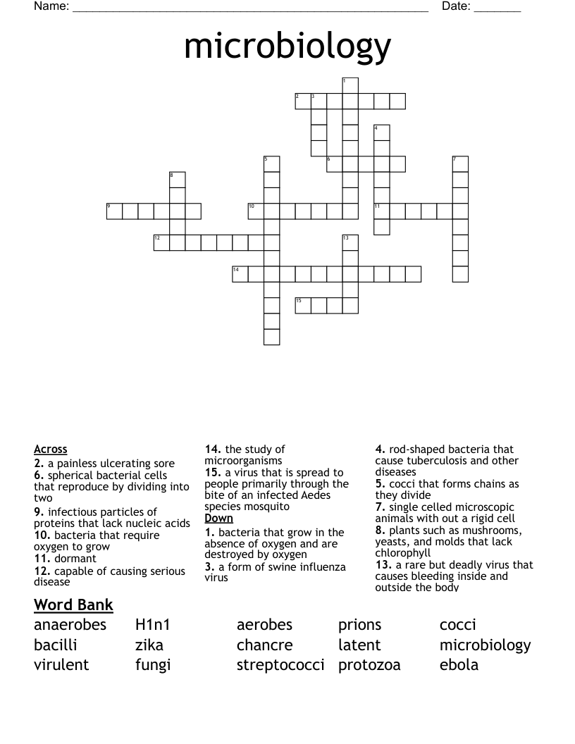 microbiology Crossword