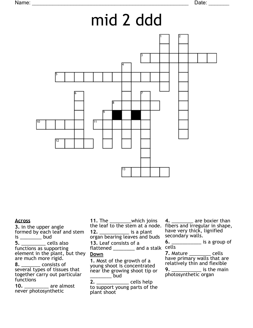 mid 2 ddd Crossword