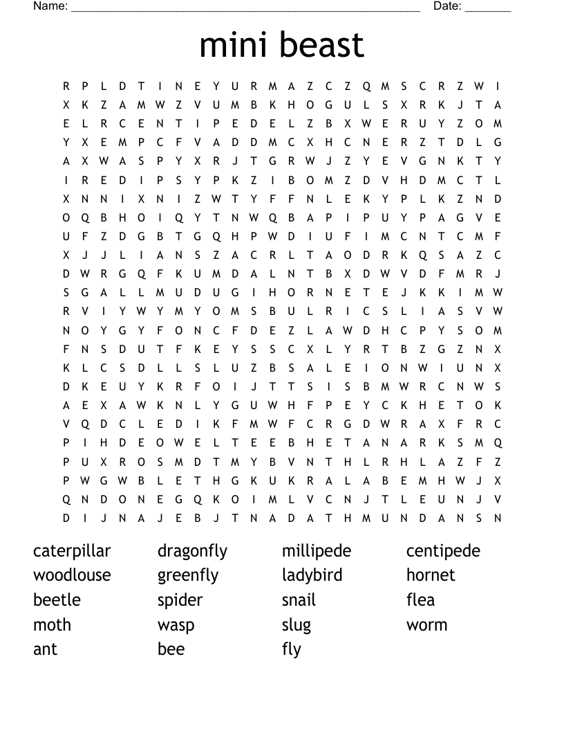 mini beast Word Search