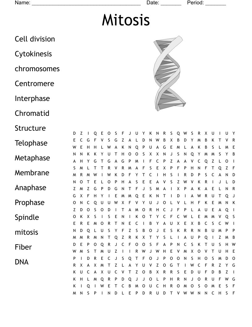 Mitosis Word Search
