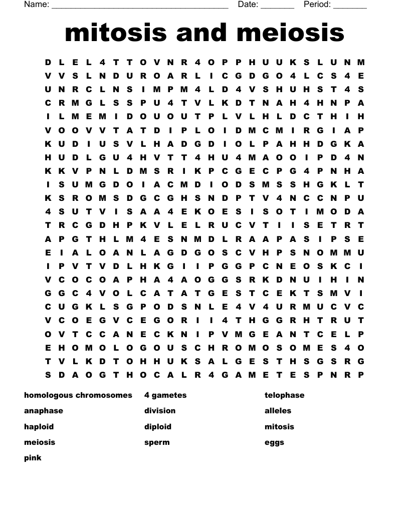 mitosis and meiosis Word Search