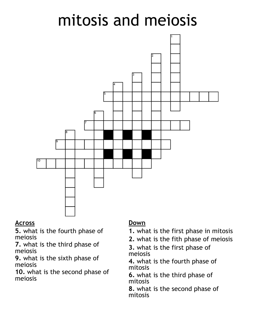 mitosis and meiosis Crossword