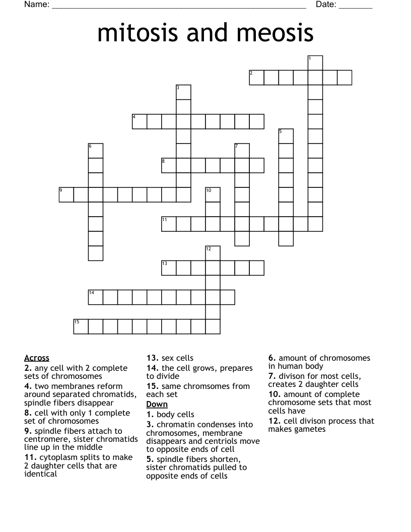 mitosis and meosis  Crossword