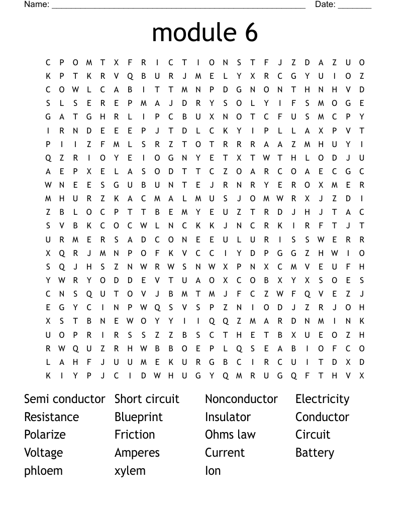 module 6 Word Search