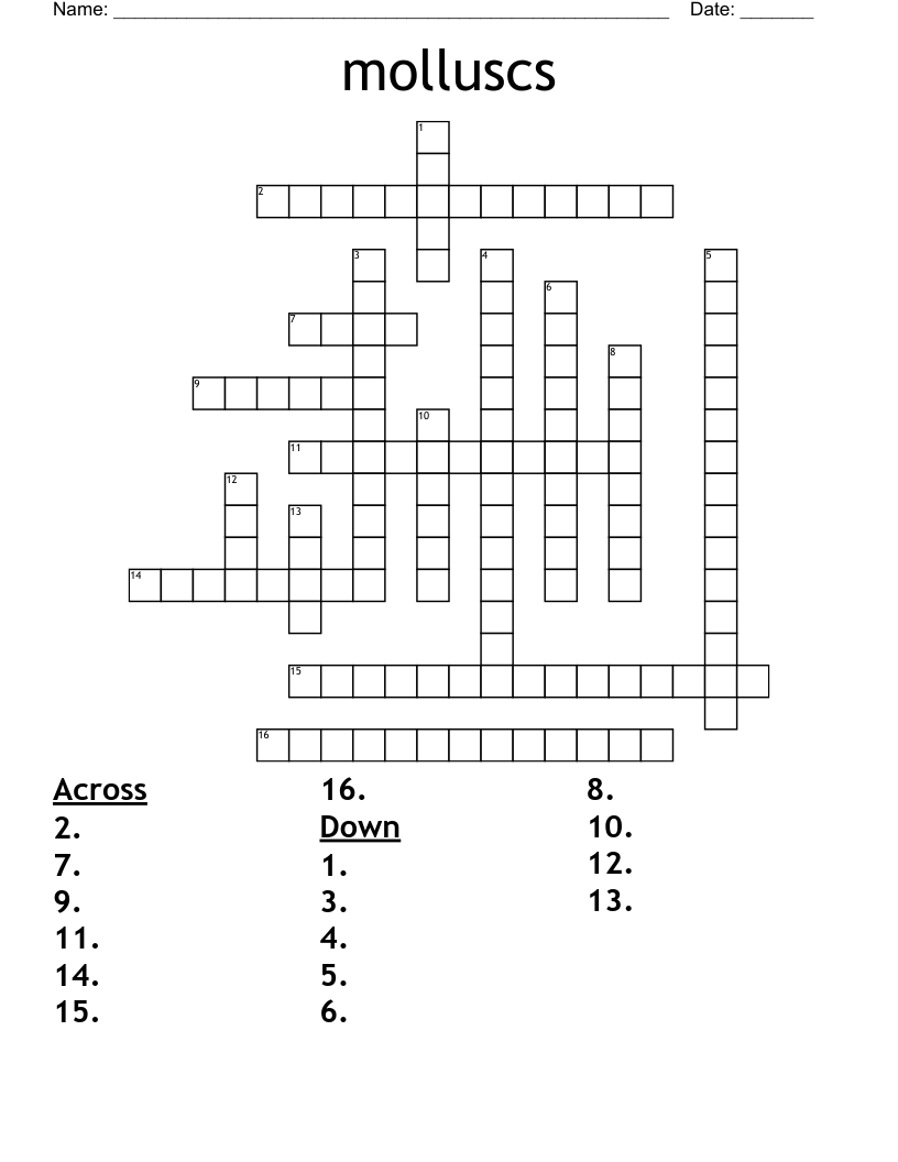 molluscs Crossword