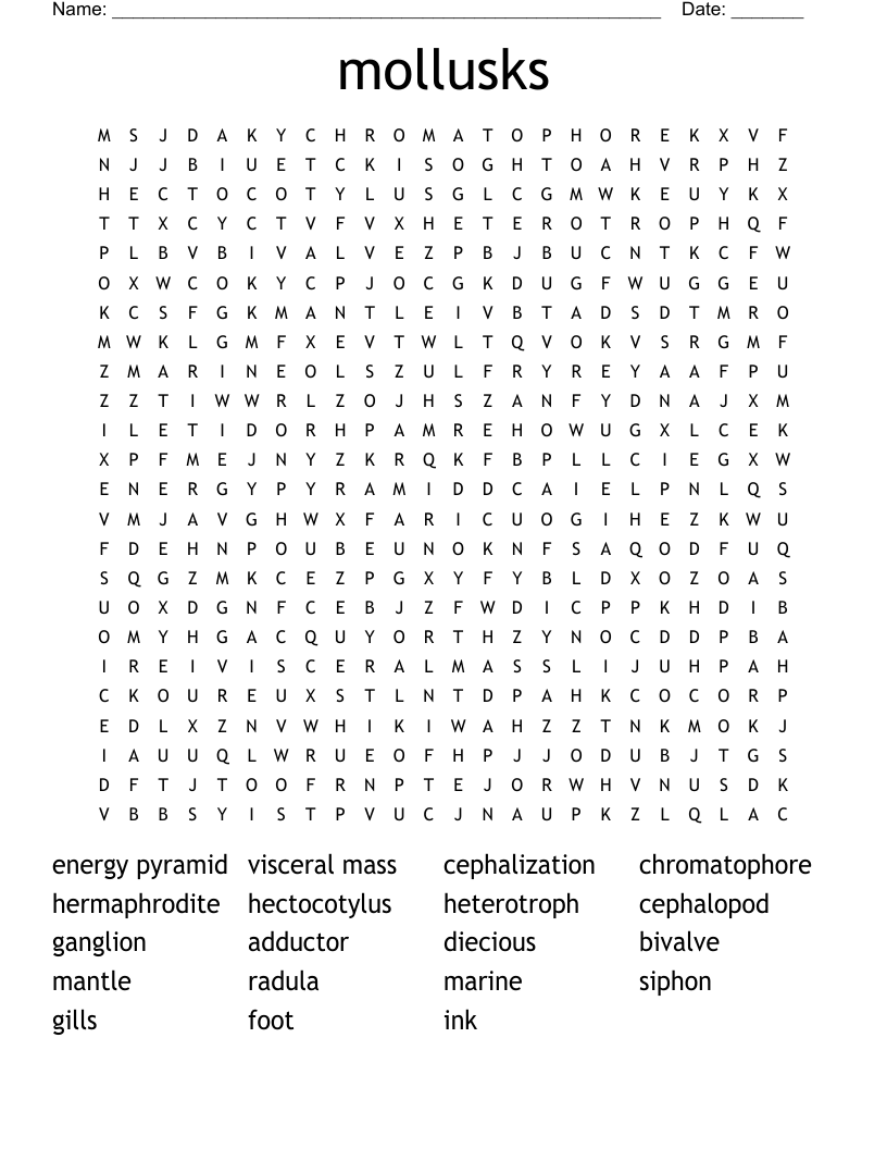 mollusks Word Search