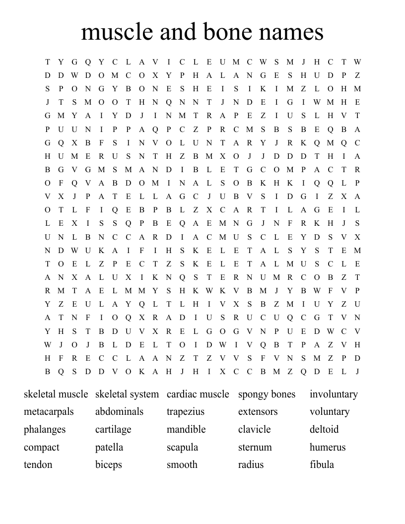 muscle and bone names Word Search