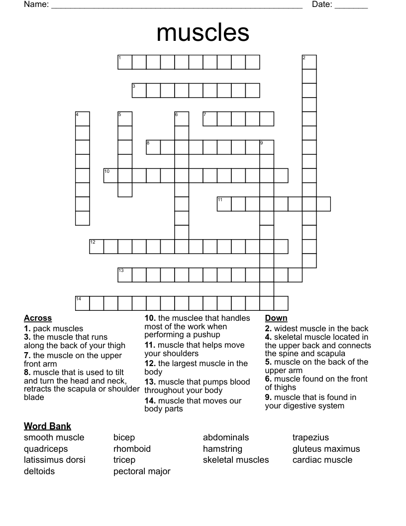 muscles Crossword
