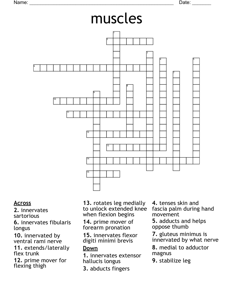 muscles Crossword