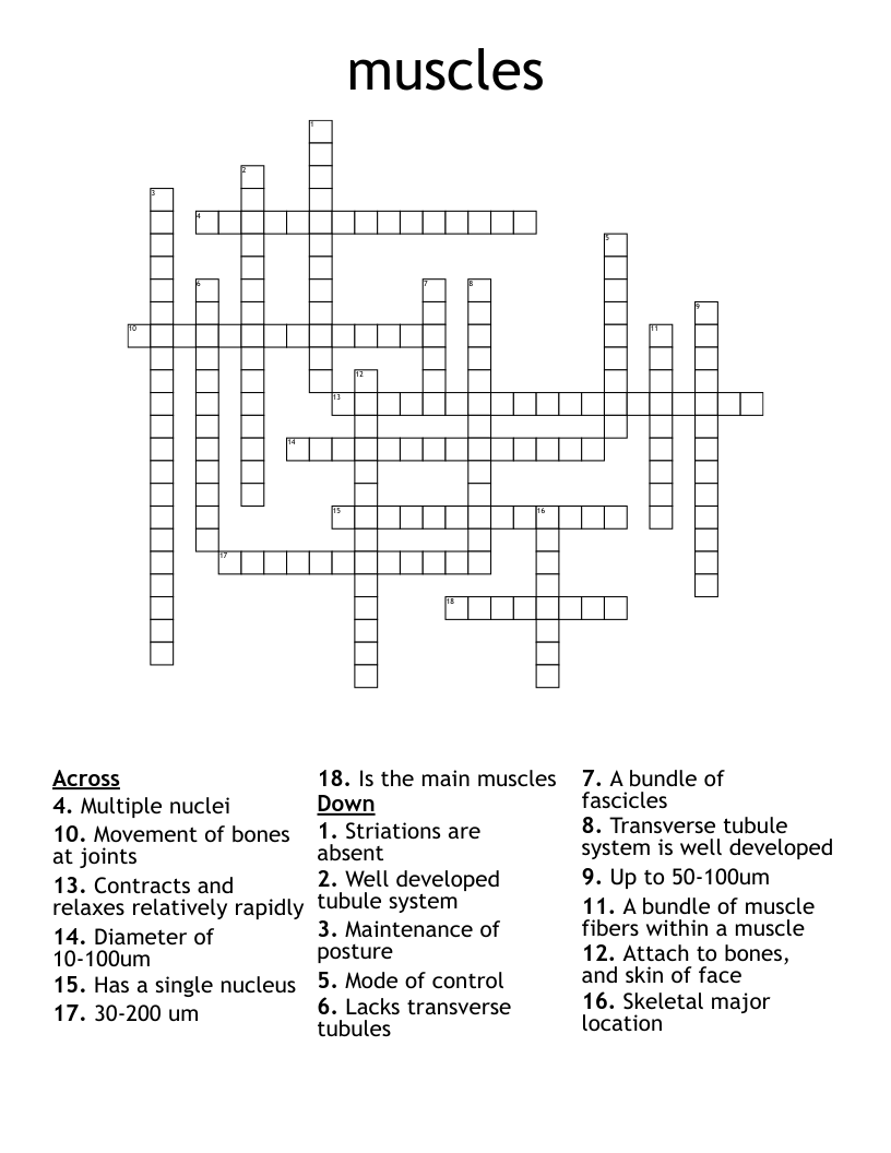 muscles Crossword