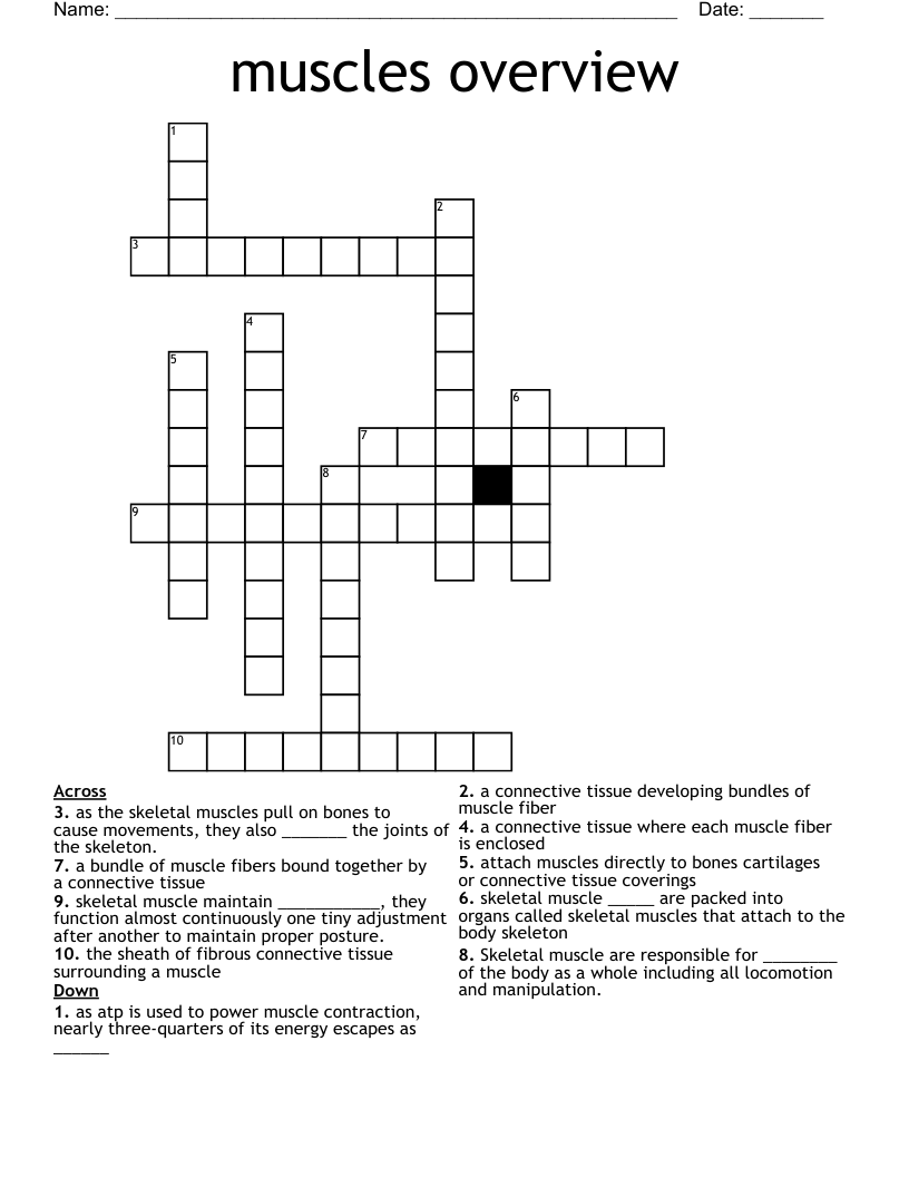 muscles overview Crossword