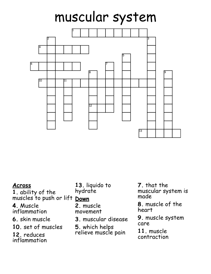 muscular system Crossword