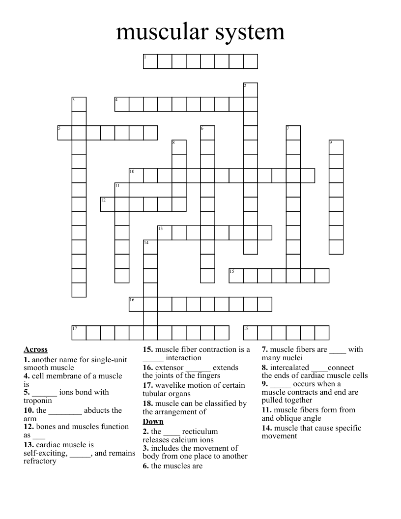 muscular system Crossword