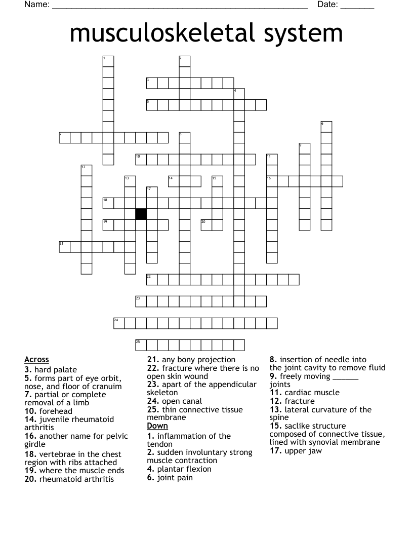 musculoskeletal system  Crossword