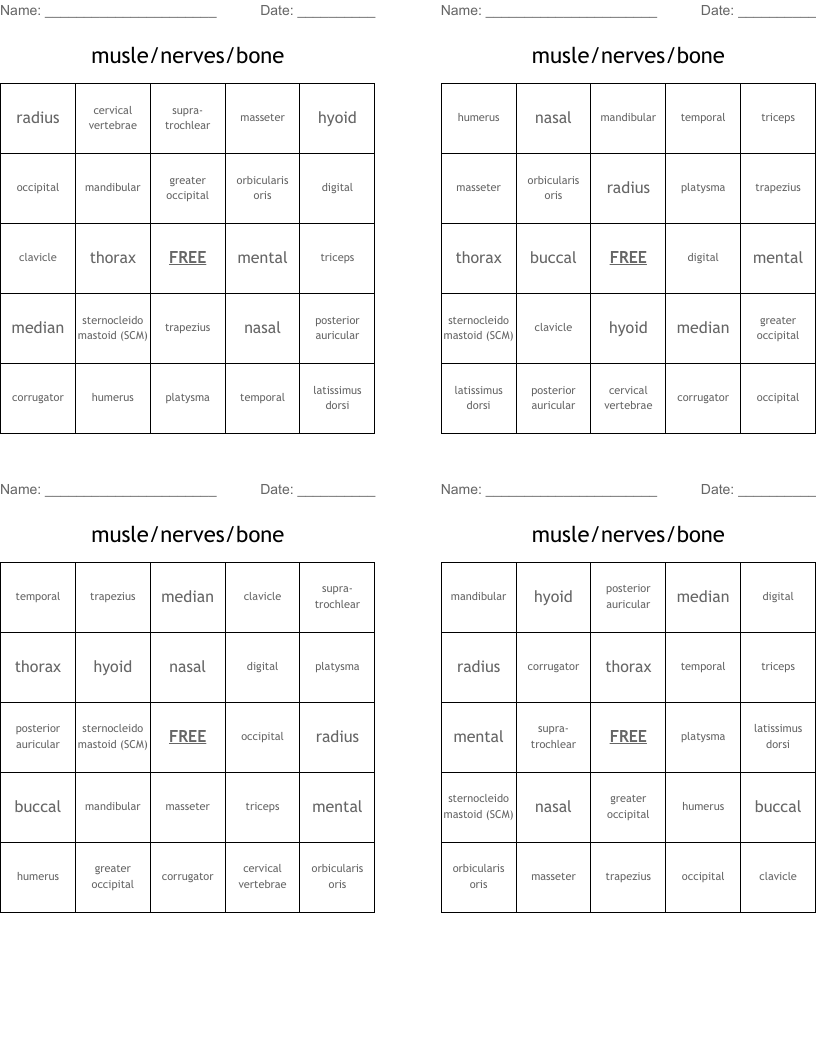 musle/nerves/bone Bingo Cards