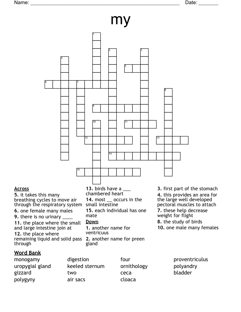 my  Crossword