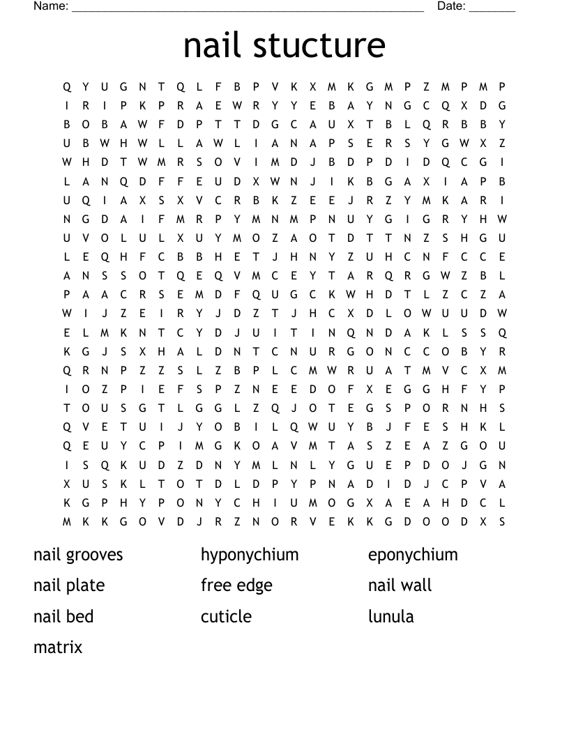 nail stucture Word Search