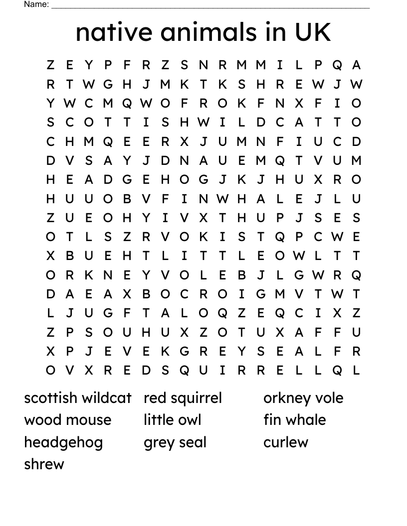 native animals in UK Word Search