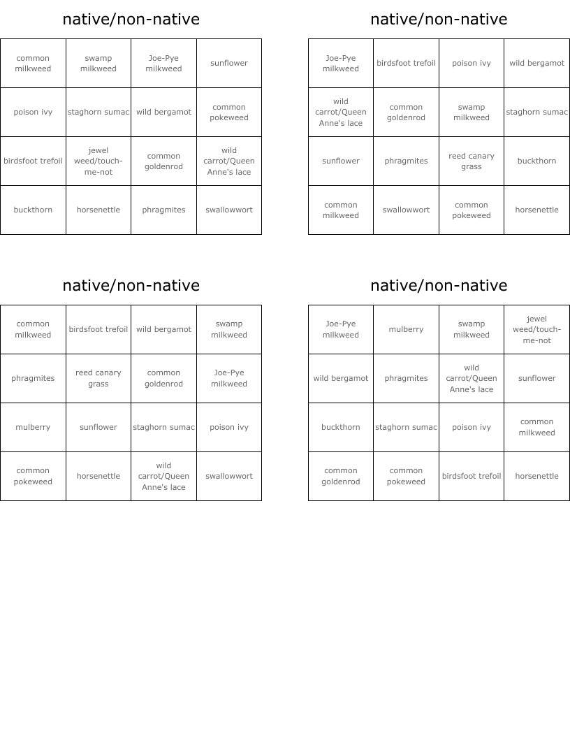 native/non-native Bingo Cards