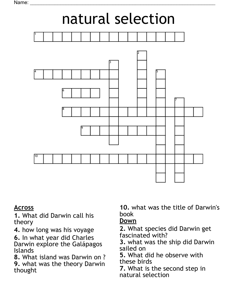 natural selection  Crossword