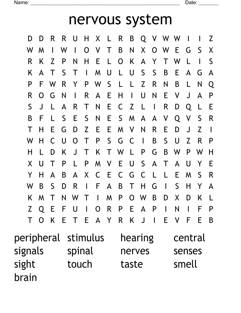 nervous system Word Search