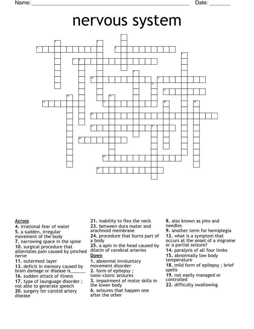 nervous system  Crossword