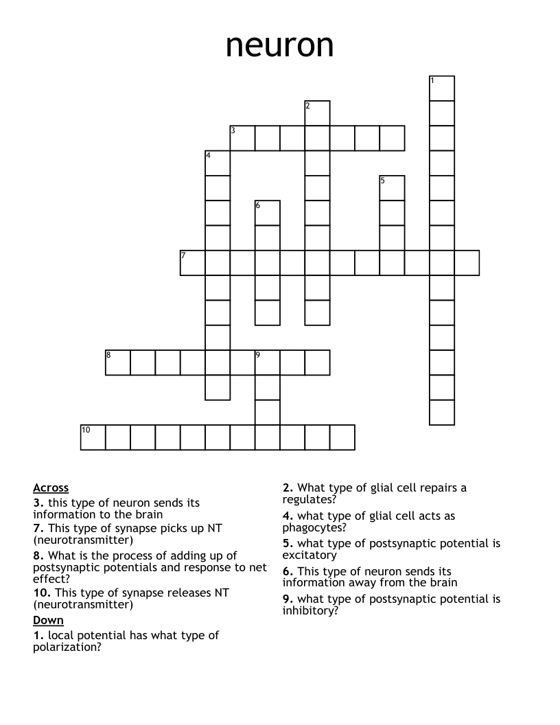 neuron Crossword