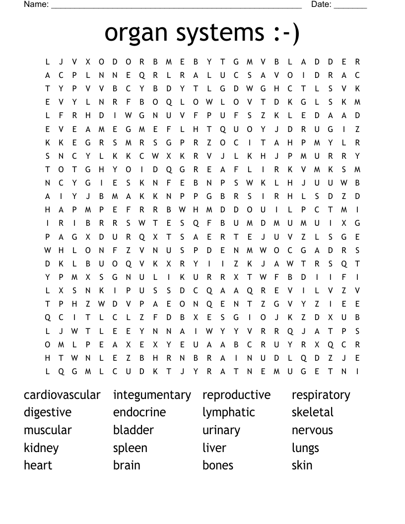 organ systems :-) Word Search