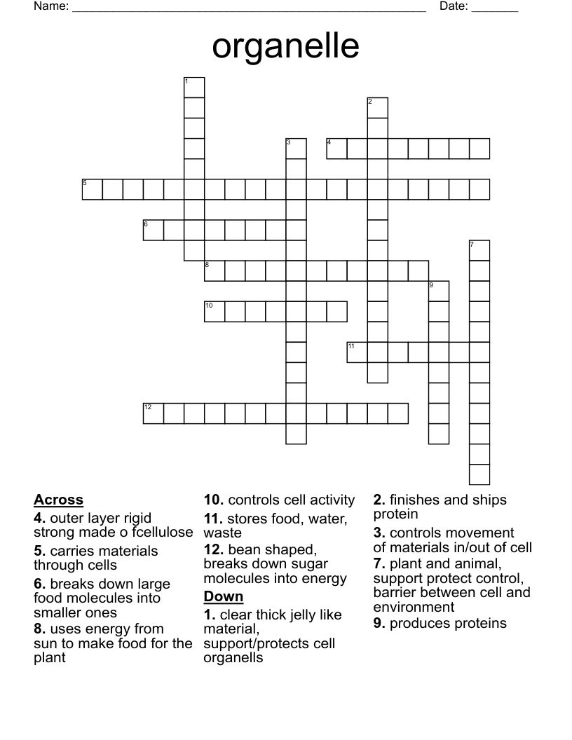 organelle Crossword
