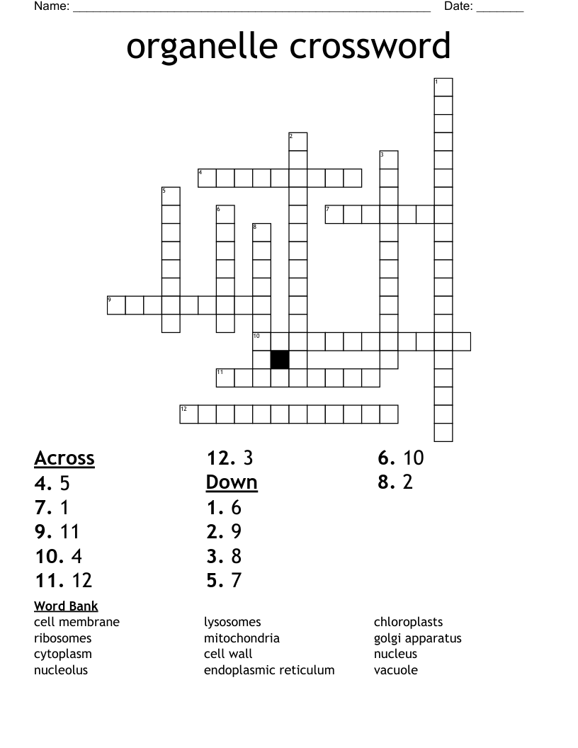 organelle crossword 