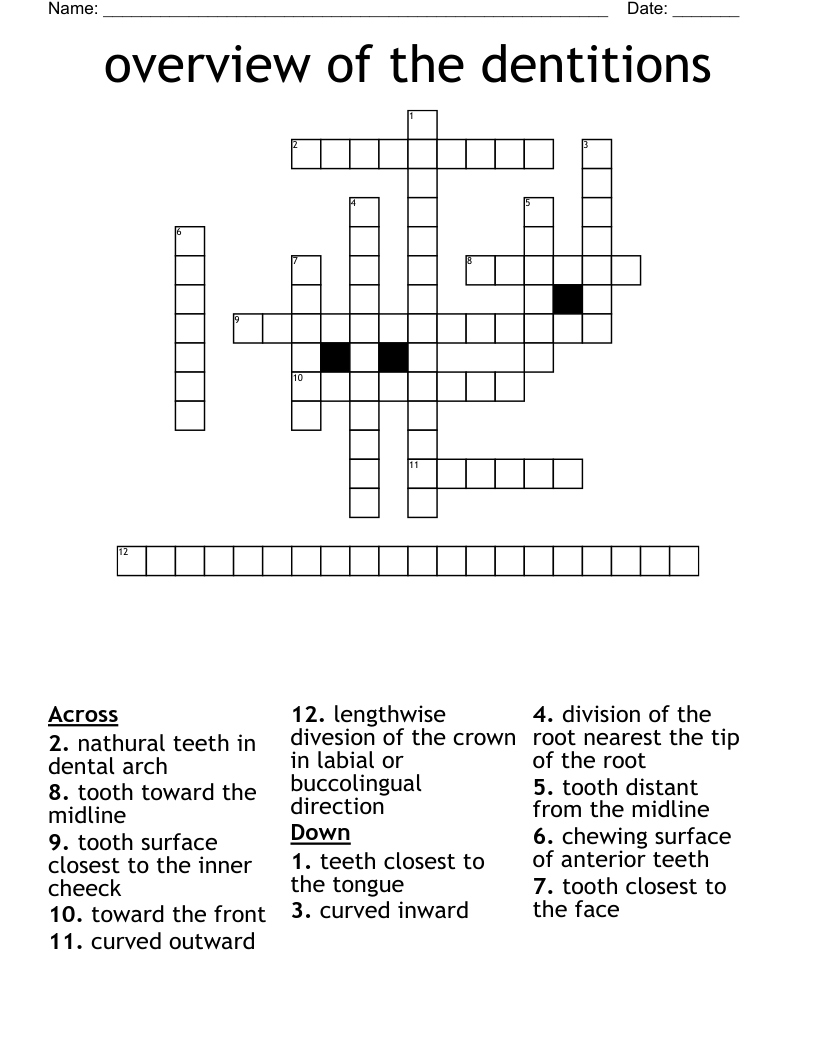 overview of the dentitions Crossword